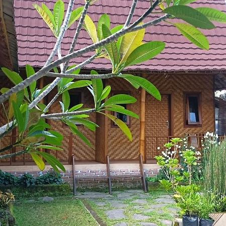 Mysha Guest House-Lombok Tetebatu Luaran gambar