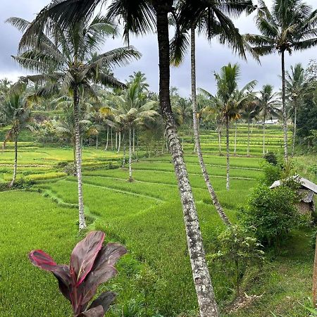 Mysha Guest House-Lombok Tetebatu Luaran gambar