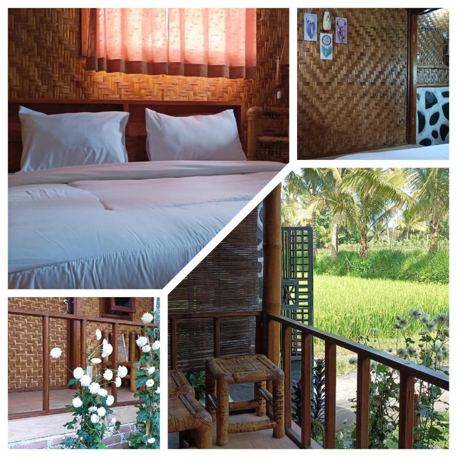 Mysha Guest House-Lombok Tetebatu Luaran gambar