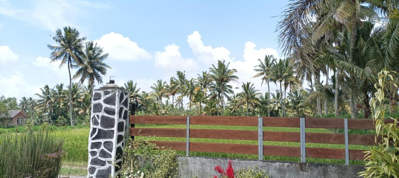 Mysha Guest House-Lombok Tetebatu Luaran gambar