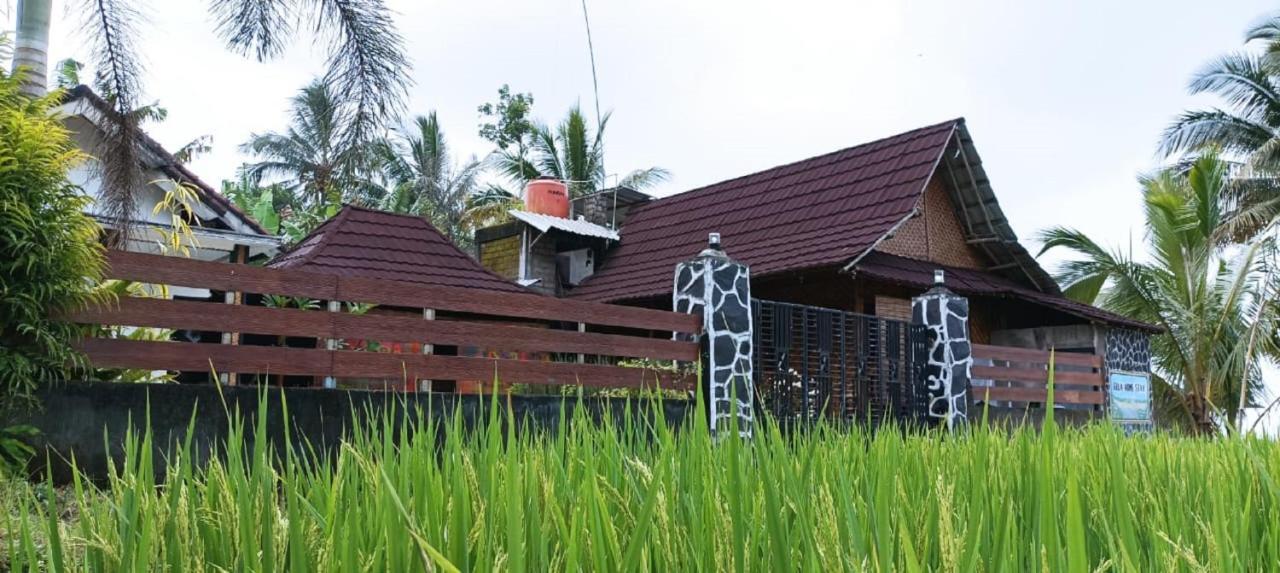 Mysha Guest House-Lombok Tetebatu Luaran gambar