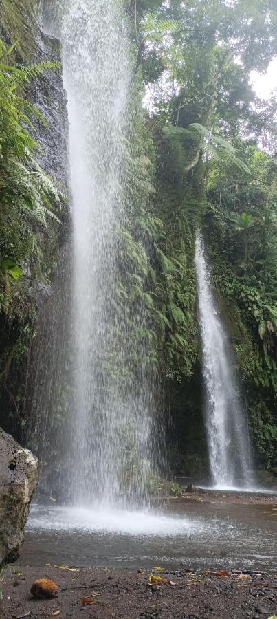 Mysha Guest House-Lombok Tetebatu Luaran gambar