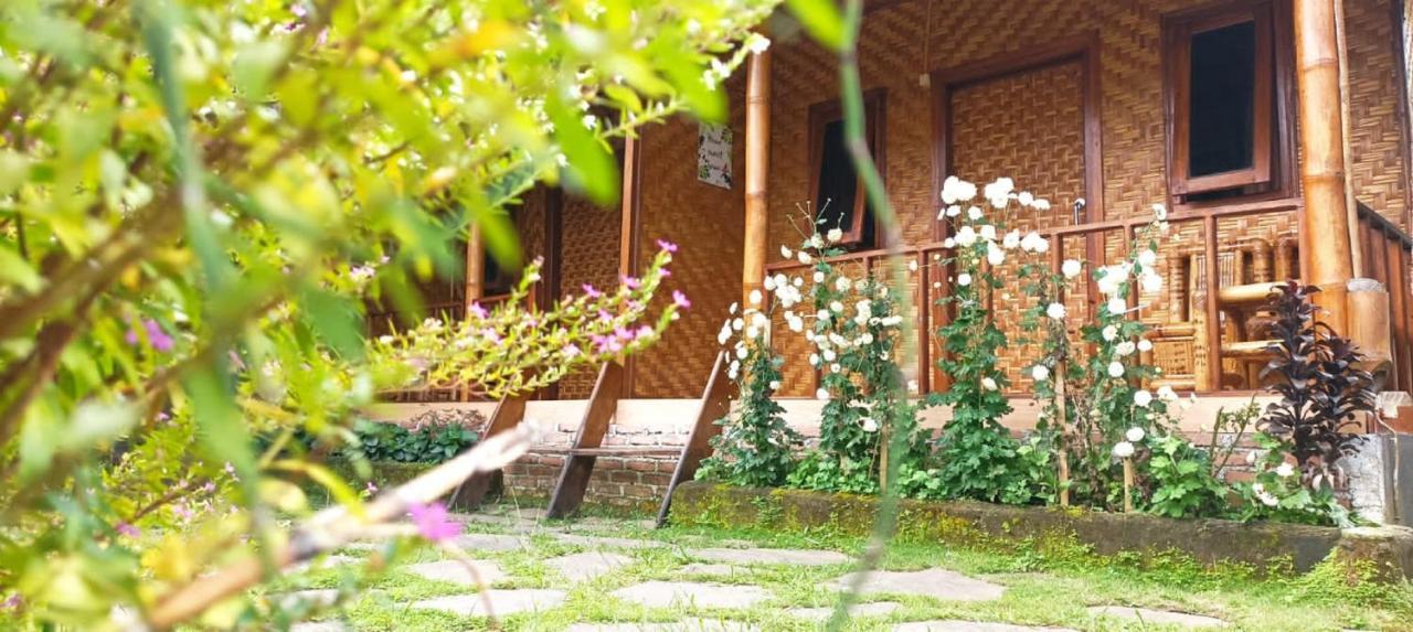 Mysha Guest House-Lombok Tetebatu Luaran gambar