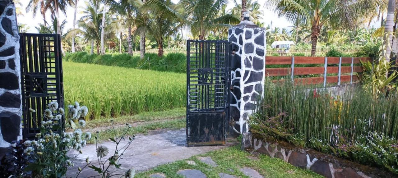 Mysha Guest House-Lombok Tetebatu Luaran gambar