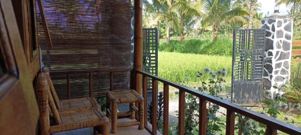 Mysha Guest House-Lombok Tetebatu Luaran gambar
