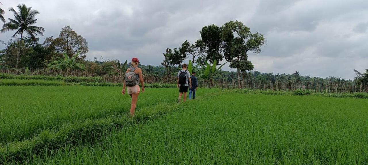 Mysha Guest House-Lombok Tetebatu Luaran gambar