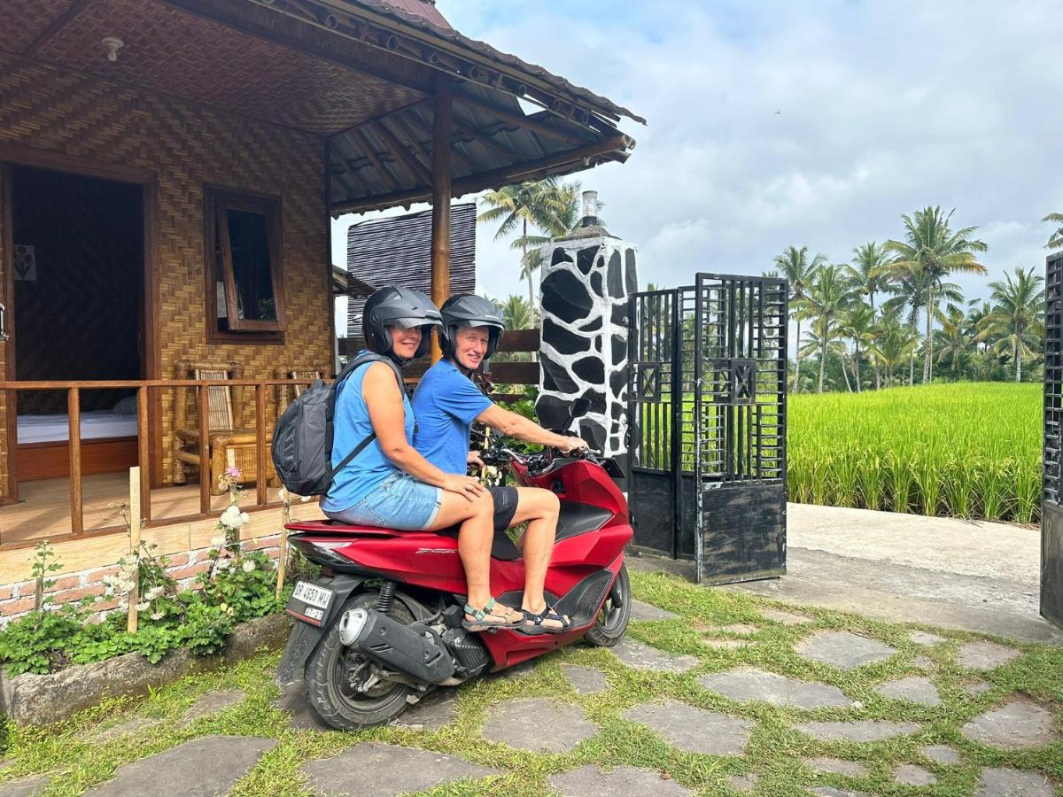 Mysha Guest House-Lombok Tetebatu Luaran gambar