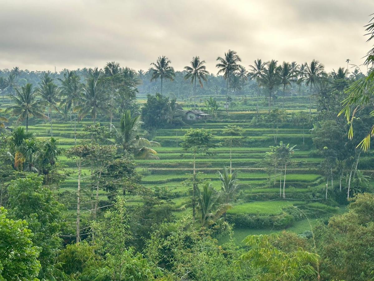 Mysha Guest House-Lombok Tetebatu Luaran gambar